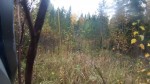 vlcsnap-2017-09-30-19h53m43s115.jpg
